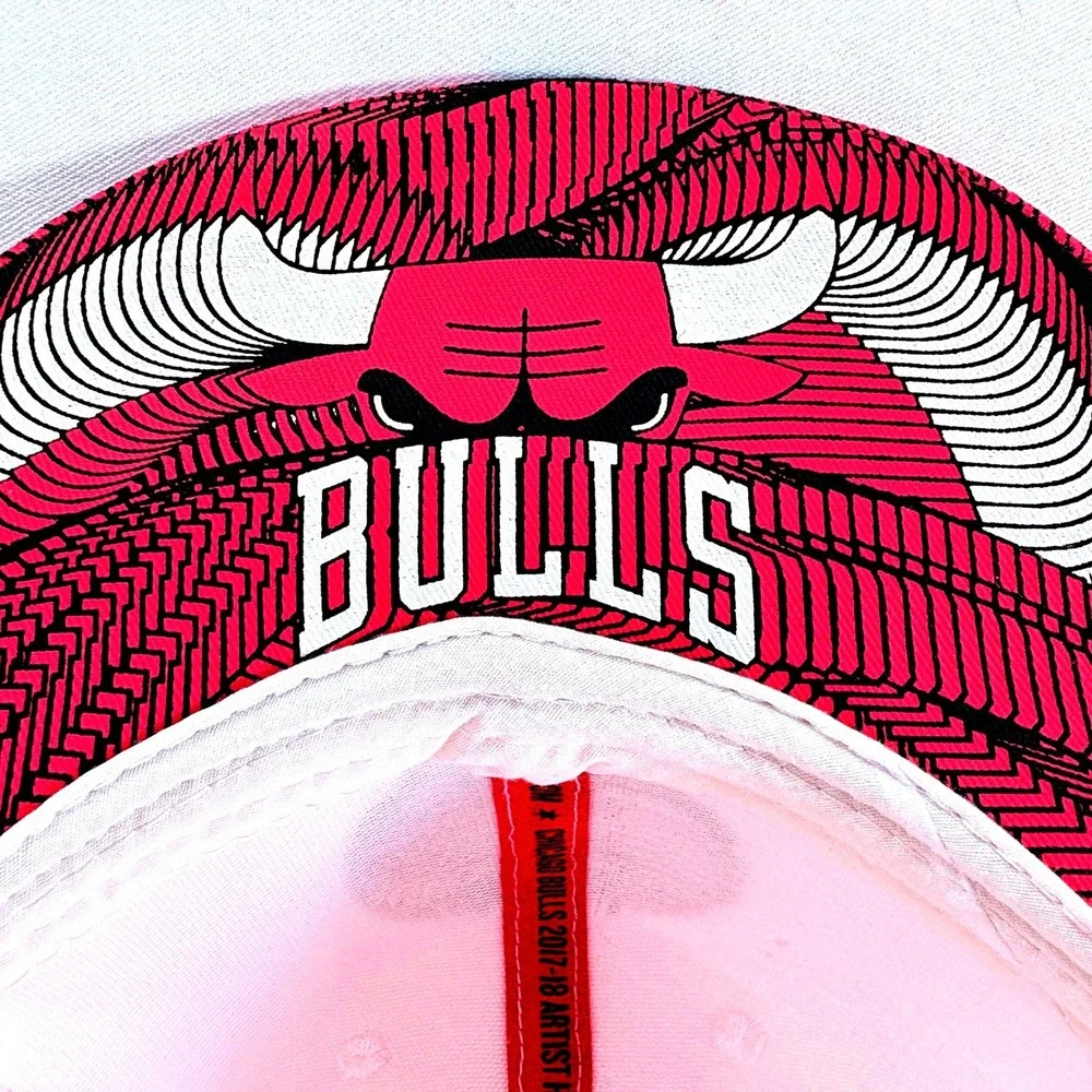 Melonwear NBA Chicago Bulls BMO Harris Artist Series Chuck Anderson Snapback Hat